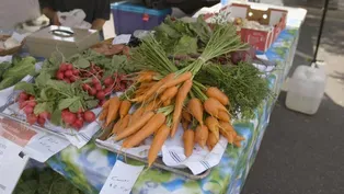 Farmers Market Ogden