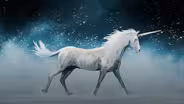 Unicorns: Magical Icons or Violent Beasts?