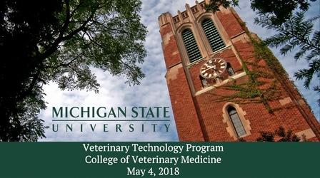 Video thumbnail: MSU Commencements 2018 Program of Veterinary Technology, College of Veterinary
