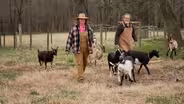 Celebrity Dairy