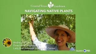 Navigating Native Plants