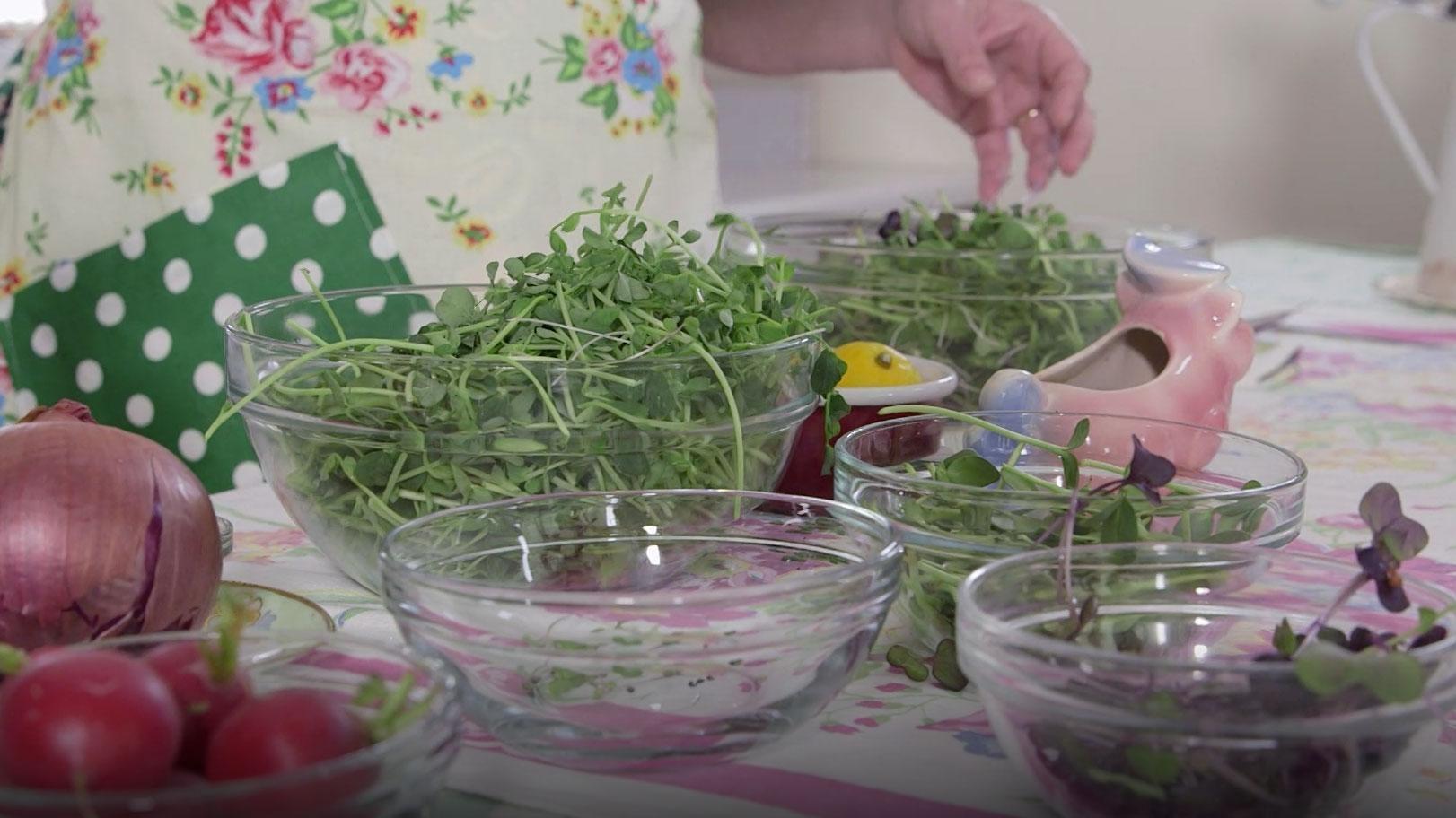 Maple Syrup and Microgreens