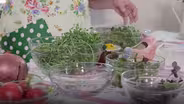 Maple Syrup and Microgreens