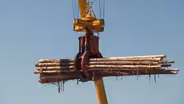 Alabama Lumber Mill