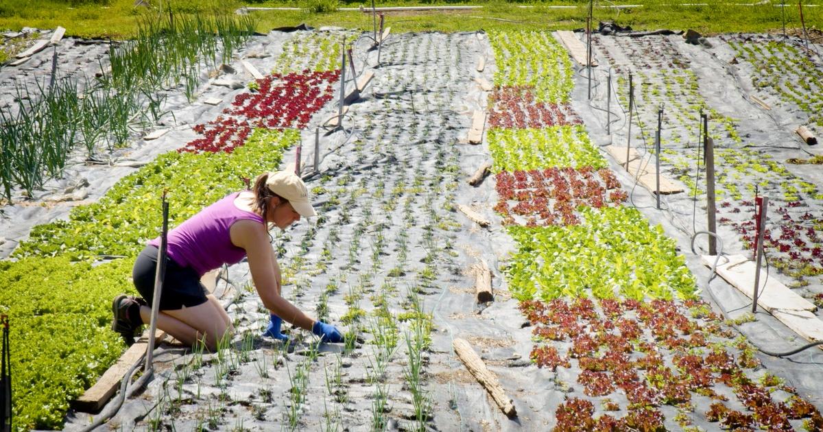 Southern Oregon Responds, Rogue Farm Corps, Episode 35