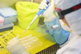 Why virus research is a tension point for the U.S., China