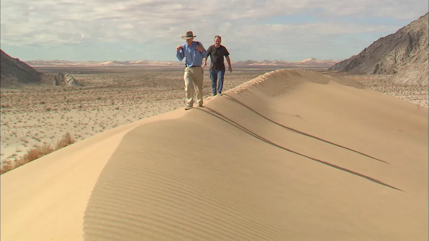 Tracks in the Shifting Sand