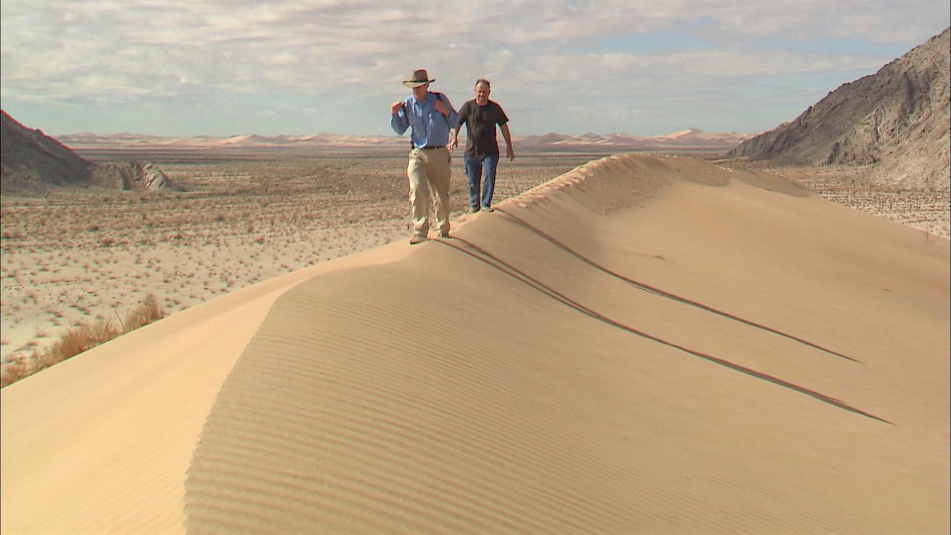 The Desert Speaks Tracks In The Shifting Sand Twin Cities PBS