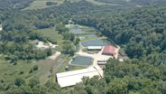 Spring Fed Hatcheries