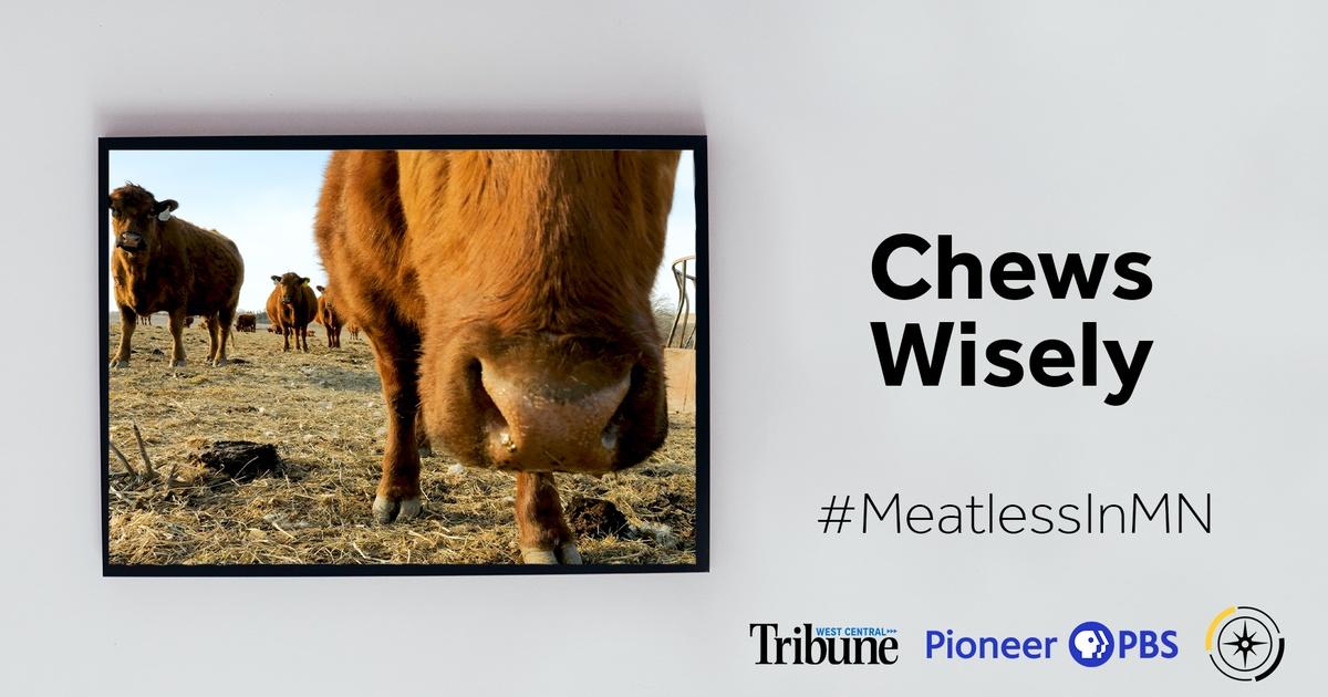 Compass | Minnesota's Alt-Meat Revolution: Chews Wisely | Season 7 ...