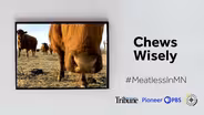 Minnesota's Alt-Meat Revolution: Chews Wisely