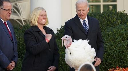 Video thumbnail: PBS NewsHour How lucky turkeys came to earn presidential pardons
