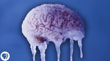 Video thumbnail: BrainCraft Why do You Get a Brain Freeze?