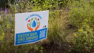 Rain Gardens: Catch and Hold Runoff Water