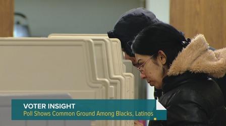 Video thumbnail: Chicago Tonight: Latino Voices Focusing on Latino Voter Turnout Ahead of Chicago's Election