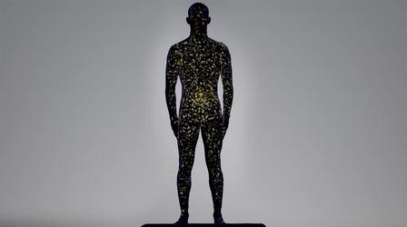 Video thumbnail: Human: The World Within The Gut Microbiome is the Hub of Our Immune System