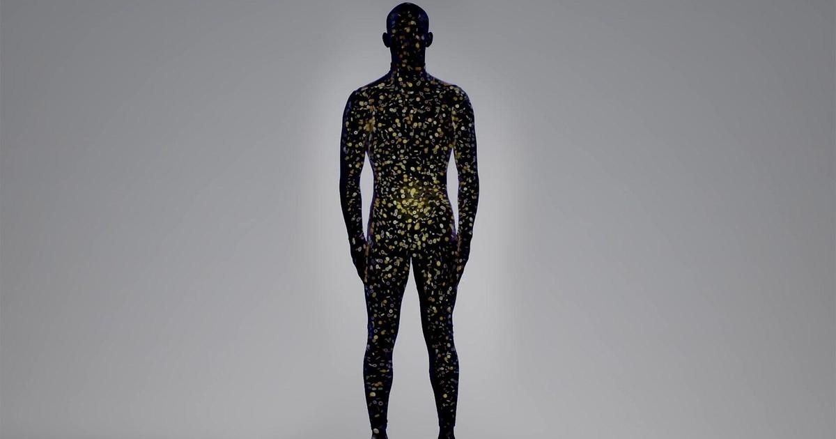Human: The World Within | The Gut Microbiome is the Hub of Our Immune ...