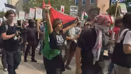 Protesters March Through Chicago on First Day of DNC