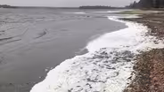 Why decades-old PFAS is still contaminating Michigan waters