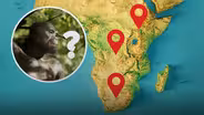 No Single Cradle of Humankind