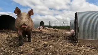 Boor Family Farm