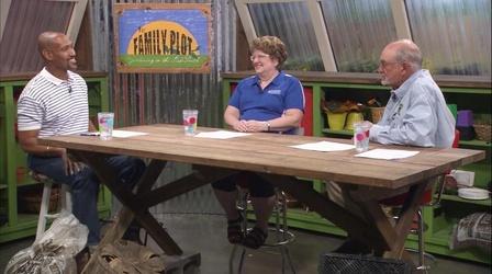 Video thumbnail: The Family Plot Grass Lawn Alternatives & Common Pesticides