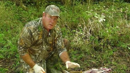 Video thumbnail: Kentucky Afield Wild Life Biologists
