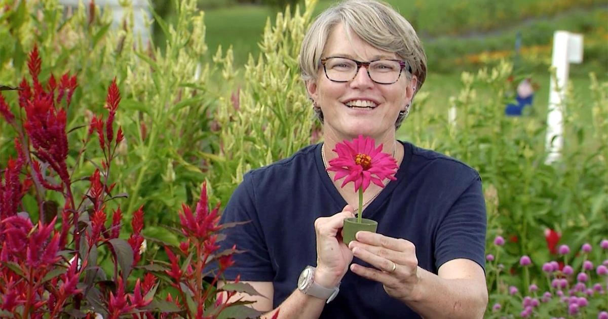 Virginia Home Grown Tips for caring for cut flowers Season 22