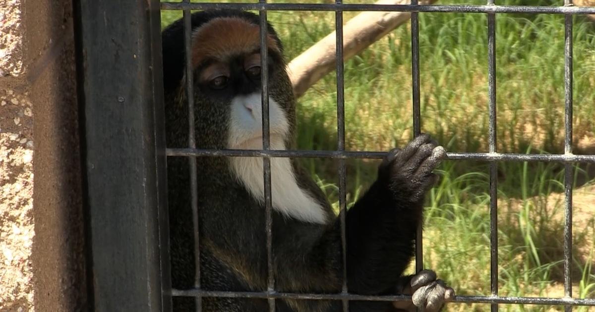 Trails of Enchantment | Alameda Park Zoo | Season 2024 | Episode 2