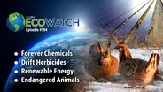 Forever Chemicals | Drift Herbicides | Renewable Energy | Endangered Animals