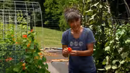 Pantry Garden