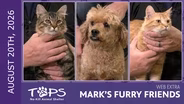 8/20/2026 | Fifa, Mango and Number 24 | Mark's Furry Friends Extra