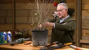Pruning Tools and Techniques