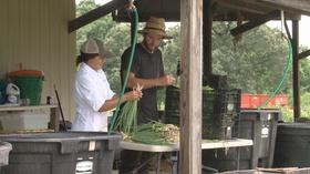 Video thumbnail: Live Green Tennessee Live Green Tennessee 1106
