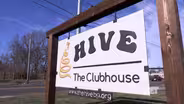 The Hive