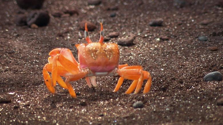 World's Greatest Image