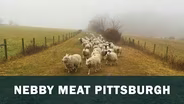 NEBBY Meat Pittsburgh