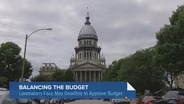 Illinois Lawmakers on What They Hope to Accomplish in the Spring Session