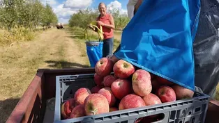 Apple Cider Makers