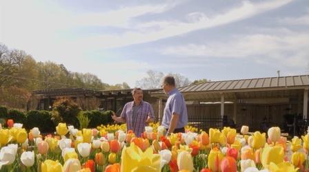 Video thumbnail: Beyond Your Backyard Beyond Your Backyard: Muskogee, OK