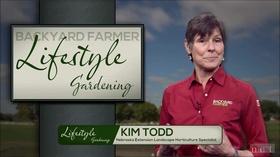 Video thumbnail: Backyard Farmer Backyard Farmer: Lifestyle Gardening: Peach Tree Care