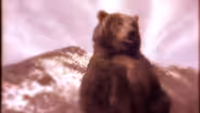 Return of the Grizzly (Journals of Lewis and Clark)