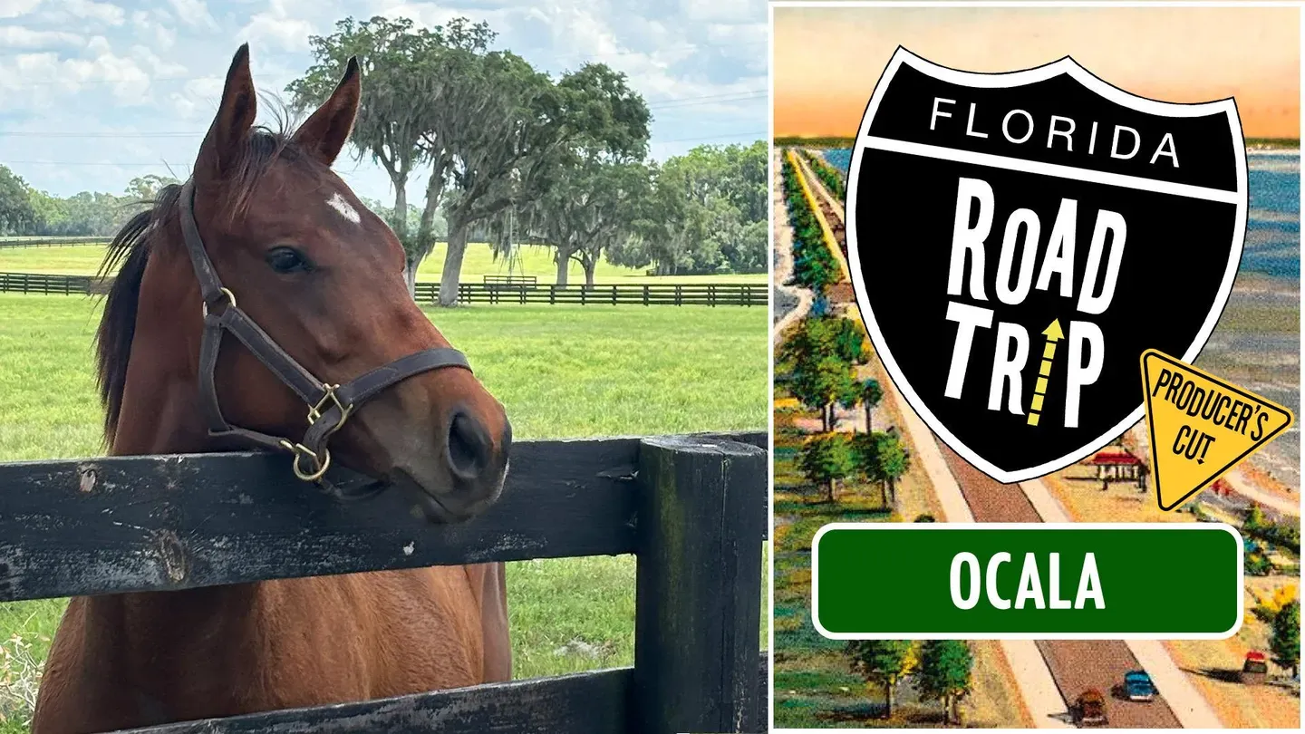Ocala Producer's Cut