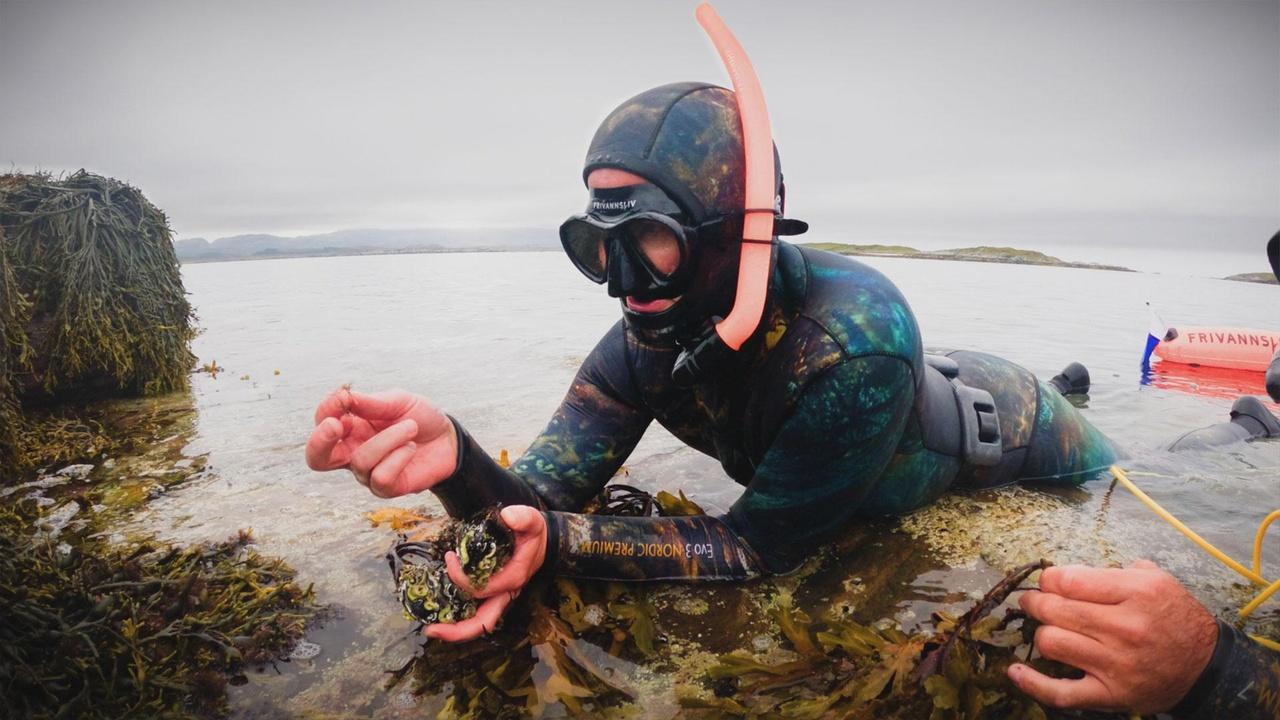 People of the North | Helgelandskysten: Archipelago Adventures