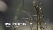 Band of Drifters: Sweet Celeny