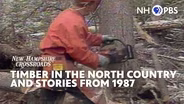 Timber in the North Country and Stories from 1987