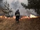 News Wrap: Ukraine wildfires cause surge in air pollution