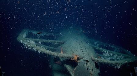Video thumbnail: SCI NC Shipwrecks Litter the NC Coast—That’s a Good Thing for Fish
