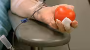 Critical Need for Four Blood Types