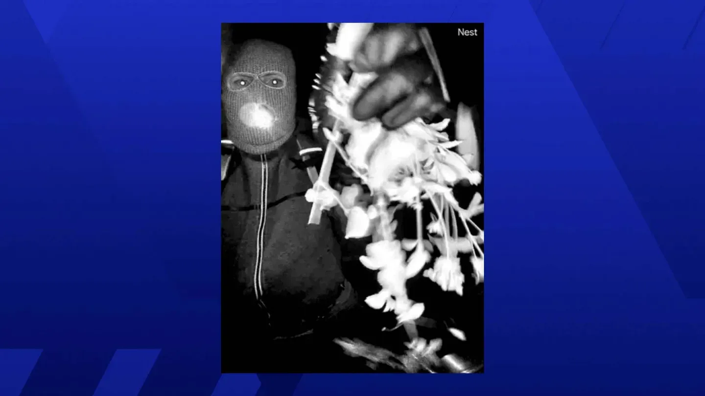News Wrap: Images show masked person at Nancy Guthrie's home